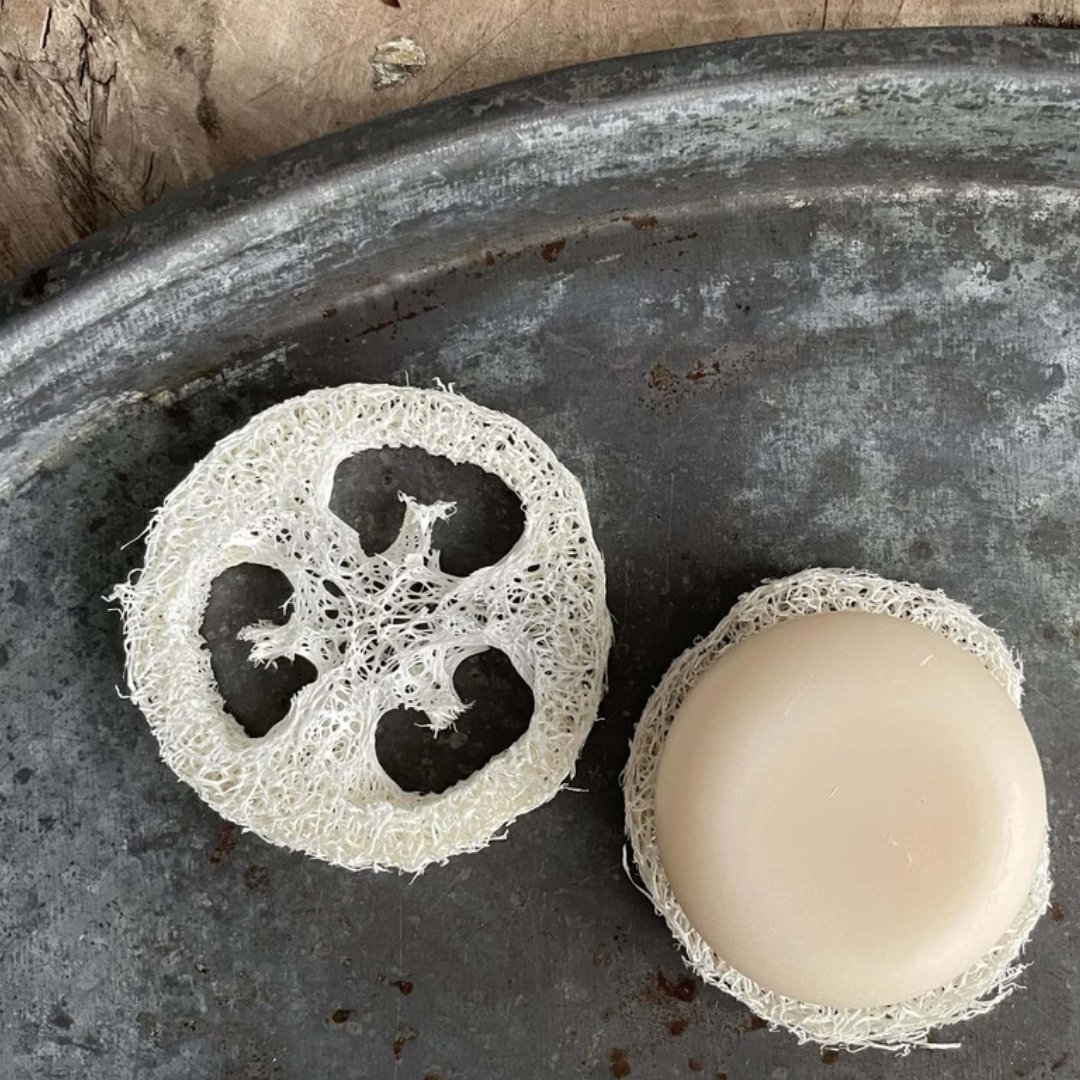 Køb Beholder til Amalie Rosalie sæbe-, shampoo- eller balsambar | Hurtig levering | Fri fragt fra 149 kr | Rejsevenlig, Rejseetui, Sæbeskål