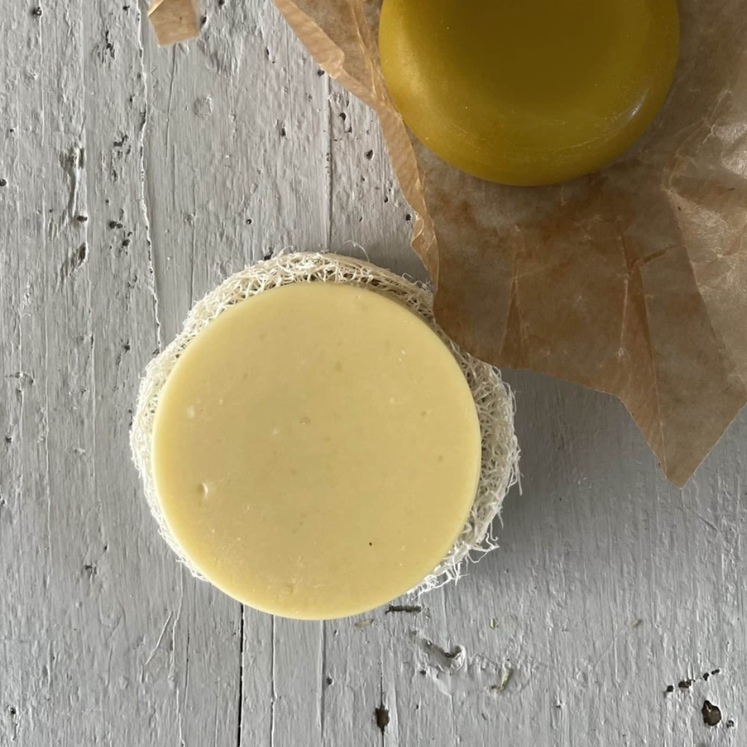 Køb Beholder til Amalie Rosalie sæbe-, shampoo- eller balsambar | Hurtig levering | Fri fragt fra 149 kr | Rejsevenlig, Rejseetui, Sæbeskål