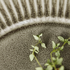 Køb Tallerken Pleat Grå/Brun | fra 149,95 | Fri fragt over 149 kr. | Hurtig levering | Dag til dag levering | House Doctor, Society of Lifestyle | Pleat, Pleat-serien, Kage, Frokost, Middags, Cake, Lunch, Dinner, Plate, Kagetallerken, Frokosttallerken, Middagstallerken