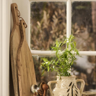 Køb Skærebræt oval med skaft og lædersnor akacietræ | fra 179,95 | Fri fragt over 149 kr. | Hurtig levering | Dag til dag levering | Ib Laursen | Bræt, Serveringsbræt, Tapasbræt, Akacietræ