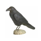 Køb DecoBird Ravn September | 639,00 | Fri fragt over 149 kr. | Hurtig levering | Dag til dag levering | Wildlife Garden | Pynt, Fugl, Ravn, Træfugl, Trædekoration, Fugl udskåret i træ, Træudskåret ravn, Træudskåret fugl, Giftfri akrylmaling, Miljøvenlig maling, Have, Havedekoration