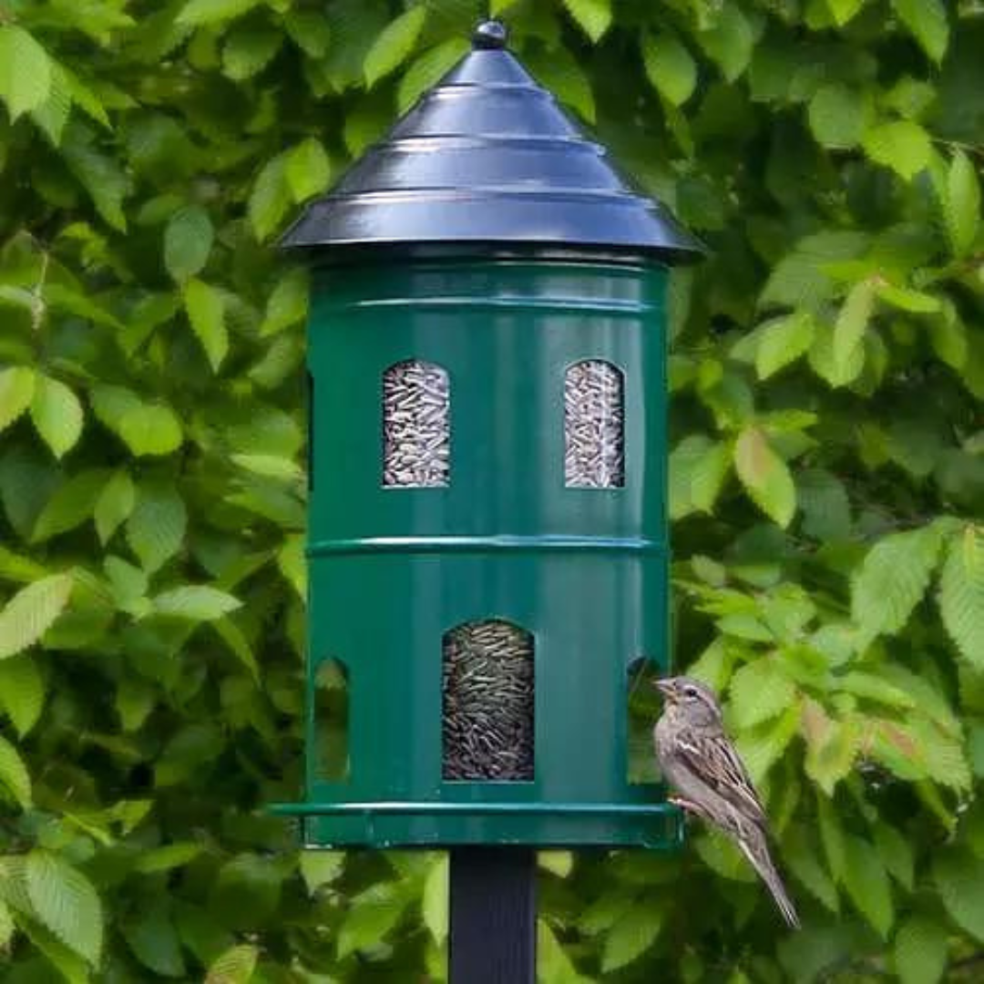 Køb Foderautomat Stor Grøn | 479,00 | Fri fragt over 149 kr. | Hurtig levering | Dag til dag levering | Wildlife Garden | Fugl, Fuglemad, Fuglefoder, Mad til fugl, Fugl i haven, Automat til foder