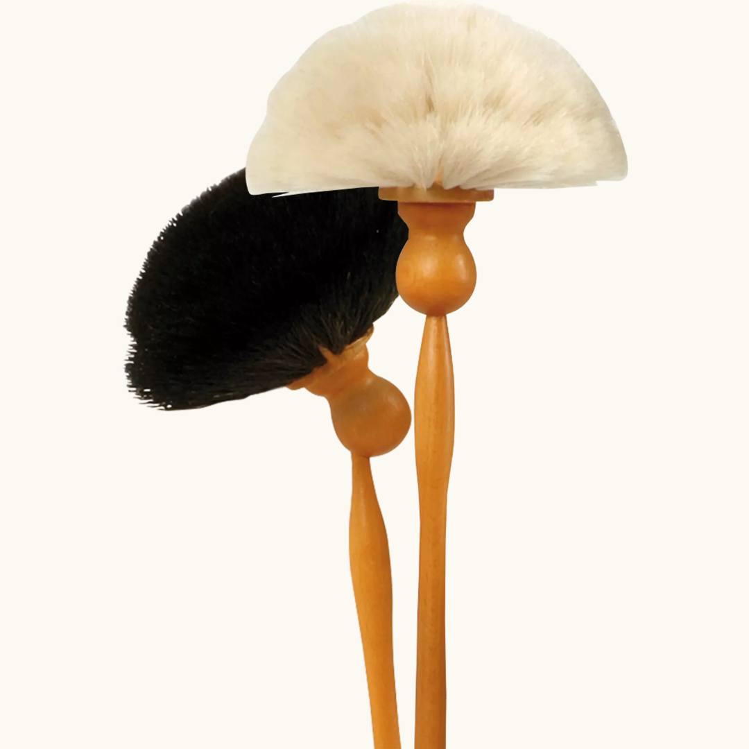Støvkost