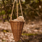 Kurv til foderkugler