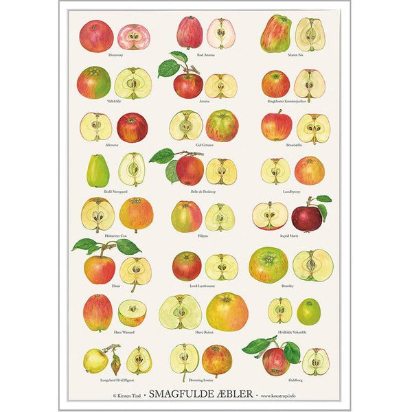 Køb Plakat Smagfulde æbler | fra 39,95 |Fri fragt over 149 kr. | Hurtig levering | Dag til dag levering | Koustrup & Co | Billede, illustration, Kunst, Planter, Bær, Blomster, Kirsten Tind