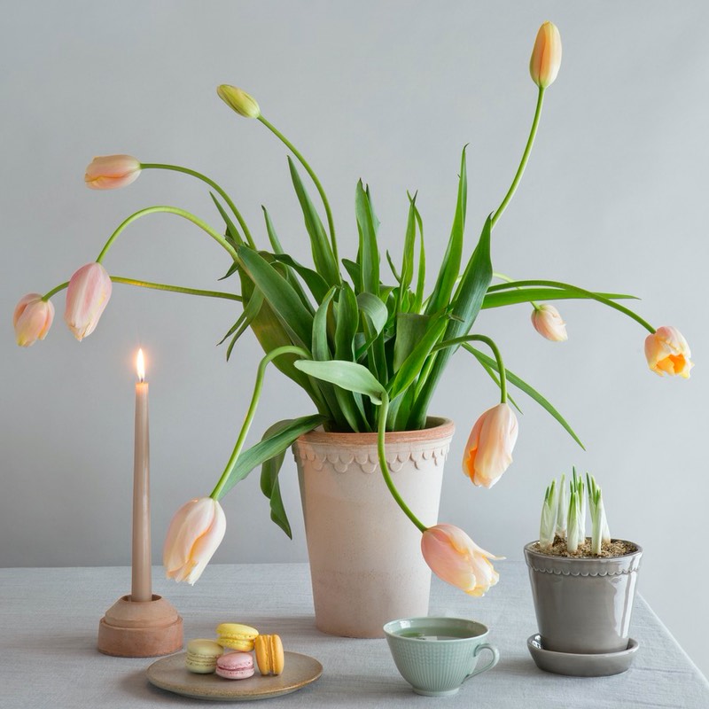 Køb Rosenpotte Københavner Raw Rosa | f89,95 | Potte, Skjuler, Urtepot, Blomsterskjuler, Potteskjuler, Blomsterpotte, Slotspotten, Bergs Potter