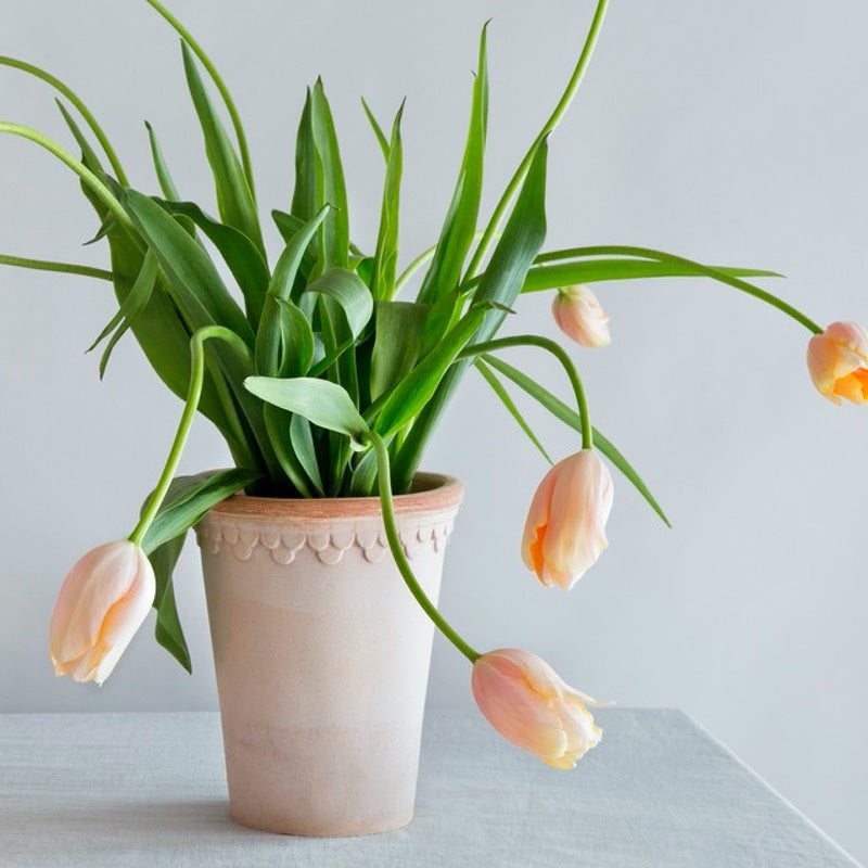 Køb Rosenpotte Københavner Raw Rosa | f89,95 | Potte, Skjuler, Urtepot, Blomsterskjuler, Potteskjuler, Blomsterpotte, Slotspotten, Bergs Potter