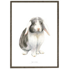 Køb Plakat Kanin A3 | 139,95 | Fri fragt over 149 kr. | Hurtig levering | Dag til dag levering | Koustrup & Co | Billede, illustration, Kunstprint, Kunst, Daniel Haase