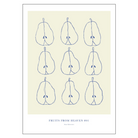 Køb Plakat Fruits From Heaven #1 30x40 cm | 229,95 | Fri fragt over 149 kr. | Hurtig levering | Dag til dag levering | Billede, Kunst, Poster and Frame, Asta Sylvester