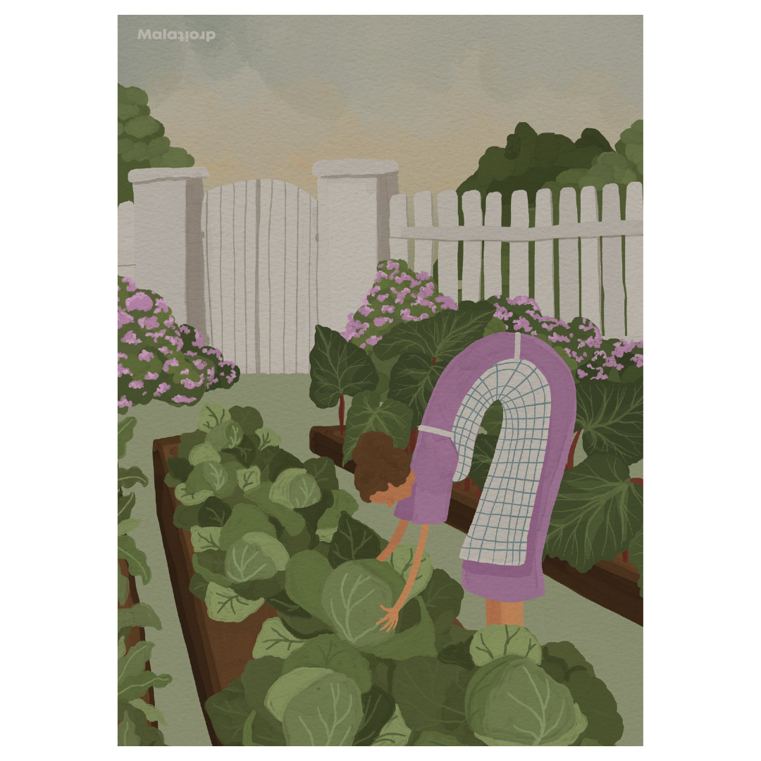 Køb Plakat Køkkenhaven A4 | 239,95 | Fri fragt over 149 kr. | Hurtig levering | Dag til dag levering | Billede, Kunst, Poster and Frame, Maladroit