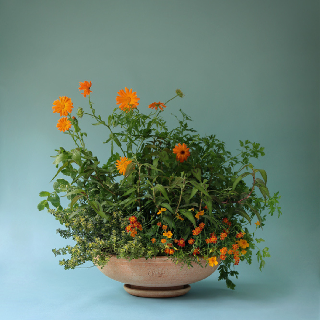 Køb Urtepotte Ada Raw Rosa | fra 349,00 | Fri fragt over 149 kr. | Hurtig levering | Dag til dag levering | Potte, Skjuler, Urtepot, Blomsterskjuler, Potteskjuler, Blomsterpotte, Bergs Potter, BERGS signature