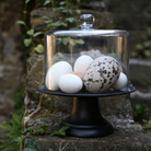 Køb Klokke klar plast | 399,00 | Fri fragt over 149 kr. | Hurtig levering | Dag til dag levering | fiorirà un giardino | Glasklokke, Dekorations klokke, Foodsafe, Kan bruges til mad, Kuppel, Låg, Dække