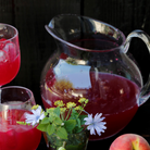 Køb Kande| fra 259,95 | Fri fragt over 149 kr. | Hurtig levering | Dag til dag levering | fiorirà un giardino | Plastkande, Klar kande, Vandkande, Saftkande, Kande til saft, kande til vand, Stor kande, 3 liter, 1,5 liter