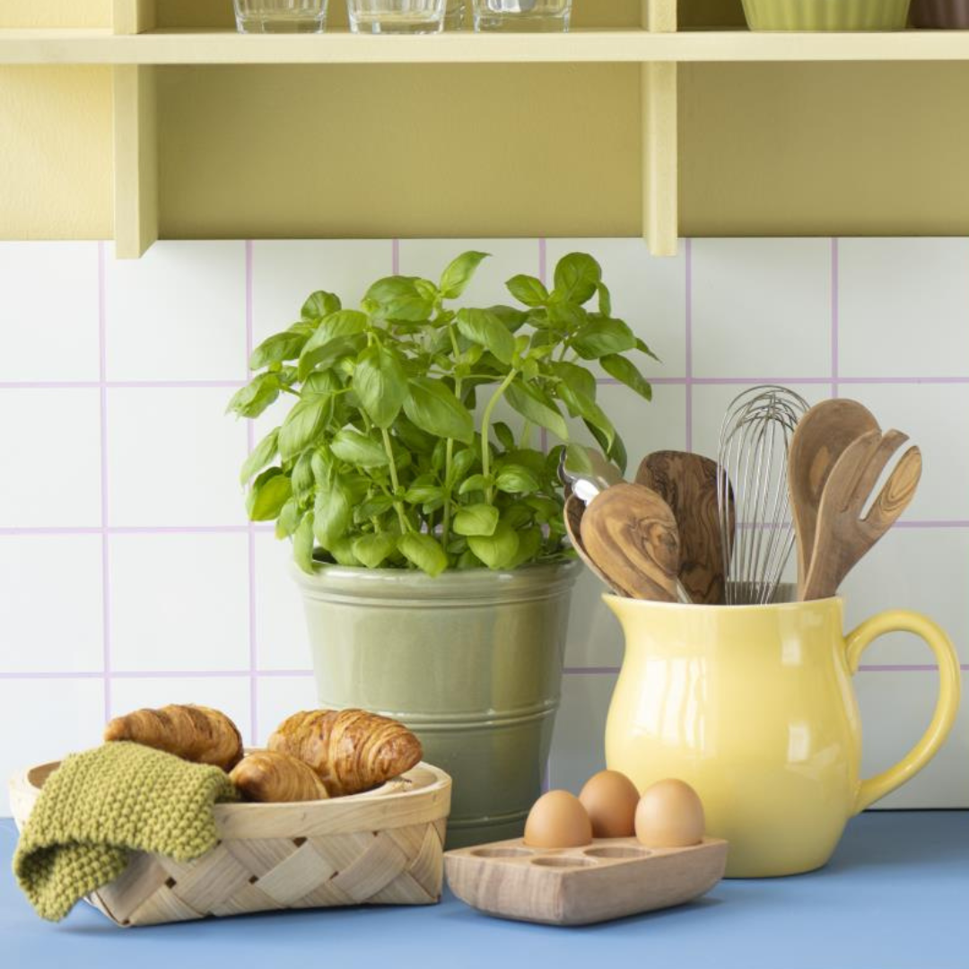 Køb Æggeholder til 6 æg i akacietræ | 139,95 | Fri fragt over 149 kr. | Hurtig levering | Dag til dag levering | Ib Laursen | Æggebakke i træ, Servering, Opbevaring