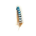 Køb Broche - Eurasian Jay Feather Brooch Pin | 429,00 | Fri fragt over 149 kr. | Hurtig levering | Dag til dag levering | TROVELORE | Vintage, Håndlavet, Hand made, Førsteklasses materialer, Godt design, Kvalitetsarbejde, Indien