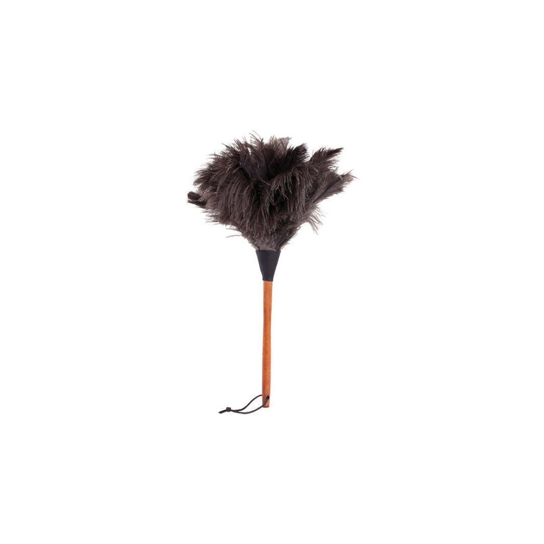 Køb Støvkost Strudsefjer | fra 189,95 | Flere størrelser | Fri fragt over 149 kr. | Hurtig levering | Dag til dag levering | Bürstenhaus Redecker | Strudsefjer, Strudsefjerstøver, Lakeret træskaft, Fjerstøver