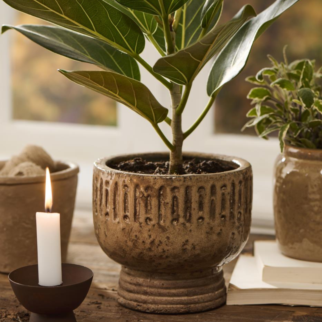 Køb Skjuler pokalformet Sif | 149,95 | Fri fragt over 249 kr. | Hurtig levering | Dag til dag levering | Ib Laursen |  Potteplante, Potte, Keramik, Brun, Urtepotte, Urtepotteskjuler
