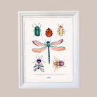 Køb Plakat Insekt 30x40 cm | 169,95 |Fri fragt over 149 kr. | Hurtig levering | Dag til dag levering | Lille Starut | Billede, Kunst, Børn, Til børneværelset, Plakat til børn