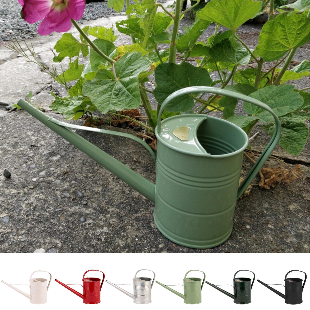 Grøn metal vandkande med lang tud og buet håndtag, vist i haven foran grønne planter, samt i seks farver