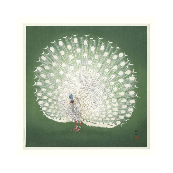 Køb Plakat Peacock on Green 61x61 cm | 449,00 | Dag til dag levering | The Dybdahl Co. | Billede, Kunst, Kunsttryk, Reproduktion, Kunster, Danmark, Illustrere, Illustration
