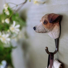 Køb Knage med Hund og Kat | 159,95 | Fri fragt over 149 kr. | Hurtig levering | Dag til dag levering | Ib Laursen | Knage, Knob, Greb, Jakkeknage, Frakkeknage, Krog, Til overtøj, Til køkkenredskaber, Til badeværelse, Bøjle, Tøj opbevaring