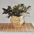 Rund beige lertøjsurtepotte med okkerbrunt håndmalet blomstermønster og striber, fyldt med mørke grønne planter