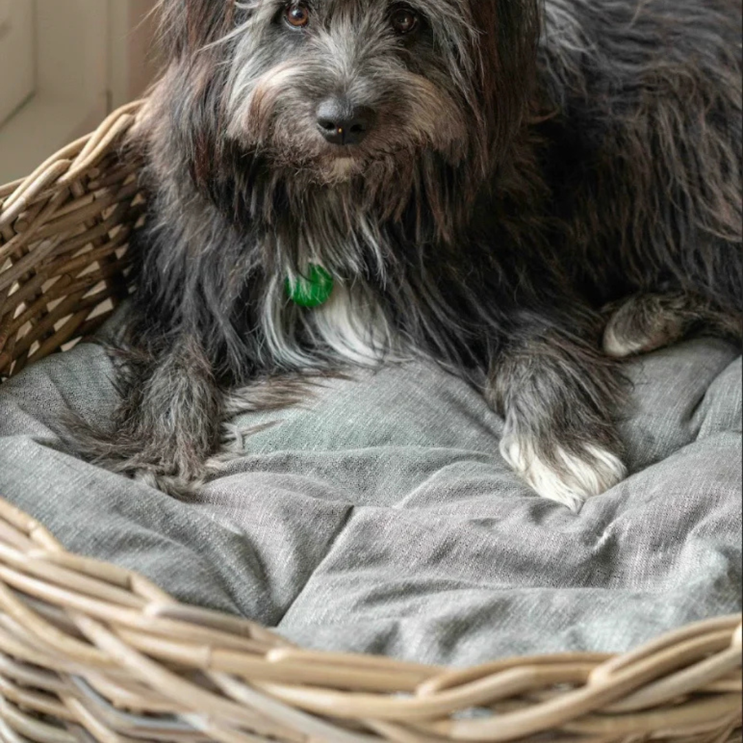Hundekurv