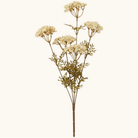 Kunstig blomsterstilk med cremehvide skærmblomster og olivengrønne blade på brun stilk
