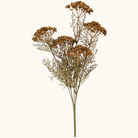 Kunstig brun blomsterstilk med fem skærmblomster og fine forgrenede blade