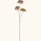 Kunstig brun blomsterstilk med tre skærmblomster på grøn stilk