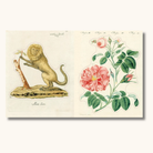 Opslået klistermærkebog med antikke illustrationer af abe ved træ og pink rose med grønne blade