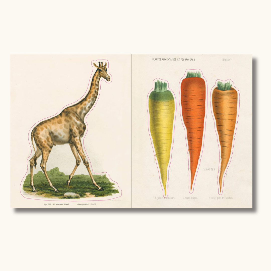 Opslået klistermærkebog med vintage illustrationer af giraf og gulerødder i gult og orange