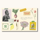Klistermærkebog med botaniske illustrationer, blomster, citater og vintage etiketter på cremefarvet baggrund
