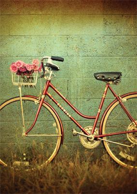 Køb Postkort Alicia Bock Cykel | der findes flere forskellige | 10,00 | Dag til dag levering | Kort, Billede, 447LAG, klang und kleid