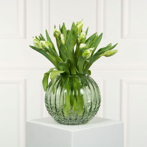 Vase Allium