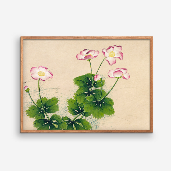 Køb Plakat Mallow flowers 30x40 cm | 279,95 |Fri fragt over 149 kr. | Hurtig levering | Dag til dag levering | Empty Wall | Billede, Kunst