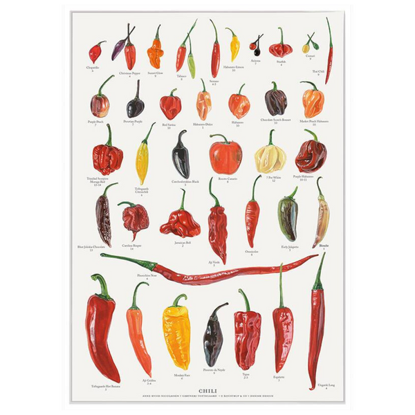 Køb Plakat Chili A2 | 79,95 | Fri fragt over 149 kr. | Hurtig levering | Dag til dag levering | Koustrup & Co | Billede, illustration, Kunst, Lene Tvedegaard