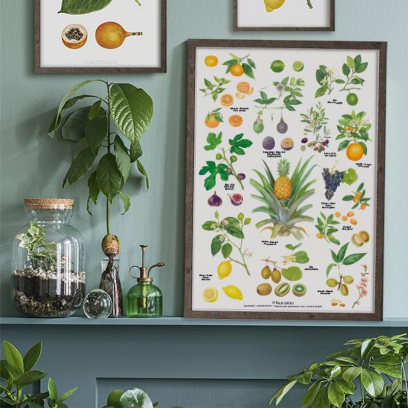 Køb Plakat Orangeri A2 | 79,95 | Fri fragt over 149 kr. | Hurtig levering | Dag til dag levering | Koustrup & Co | Billede, illustration, Kunst, Kirsten Tind