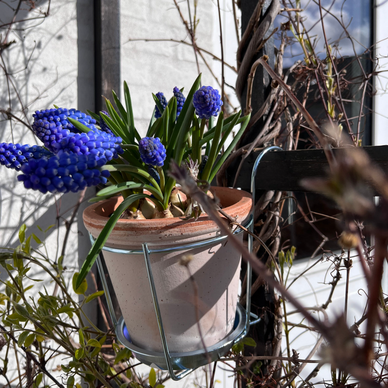 Køb PLINT Altan potteholder - Elektro galvaniseret | Findes i flere størrelser | 99,95 |  Fri fragt over 149 kr. | Hurtig levering | Dag til dag levering | PLINT | Udendørs, Blomsterholder, Urtepotte, Blomsterpotte, Potte, Krukke, Ophæng til blomster, Potteholder til rionet, Holder til armeringsnet, Zinkpotte, Lerpotte, Rækværk, Stakit