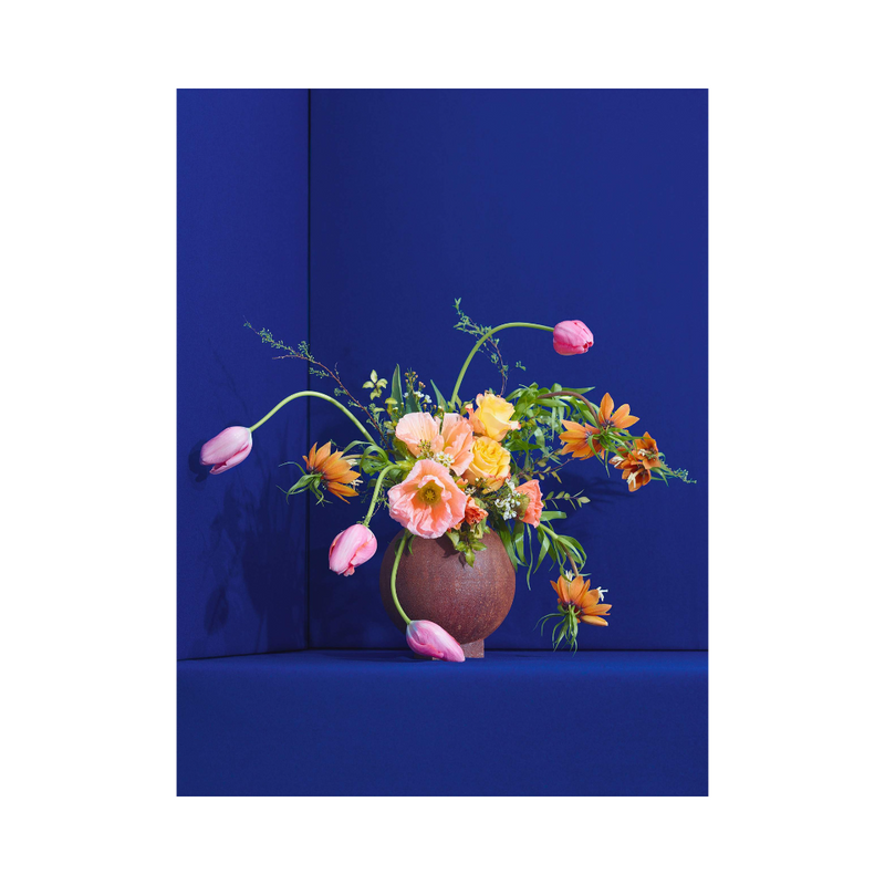 Køb Plakat Blomst 01 | fra 239,95 | Fri fragt over 149 kr. | Hurtig levering | Dag til dag levering | Paper Collective | Billede, Kunst, Blomster
