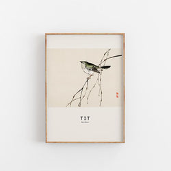 Køb Plakat Tit | TILBUD: fra 179,95 |Fri fragt over 149 kr. | Hurtig levering | Dag til dag levering | Empty Wall | Billede, Kunst