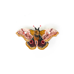 Køb Broche - Emperor Mopane Moth Brooch Pin | 479,00 | Fri fragt over 149 kr. | Hurtig levering | Dag til dag levering | TROVELORE | Vintage, Håndlavet, Hand made, Førsteklasses materialer, Godt design, Kvalitetsarbejde, Indien