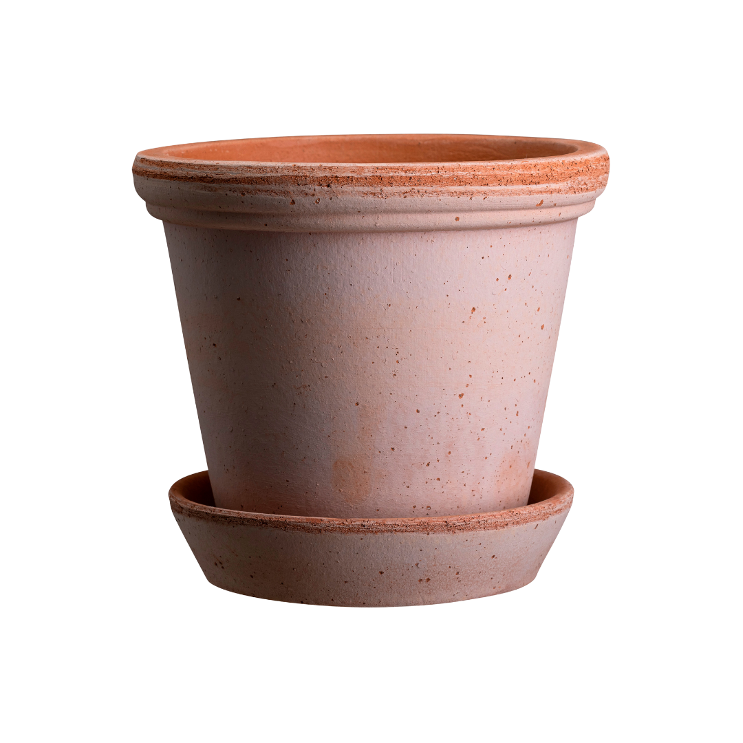 Køb Urtepotte Flora Raw Rosa | fra 89,95 | Fri fragt over 149 kr. | Hurtig levering | Dag til dag levering | Potte, Skjuler, Urtepot, Blomsterskjuler, Potteskjuler, Blomsterpotte, Bergs Potter, BERGS signature