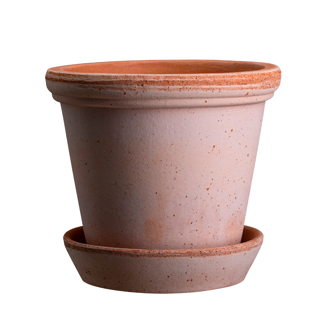 Køb Urtepotte Flora Raw Rosa | fra 89,95 | Fri fragt over 149 kr. | Hurtig levering | Dag til dag levering | Potte, Skjuler, Urtepot, Blomsterskjuler, Potteskjuler, Blomsterpotte, Bergs Potter, BERGS signature