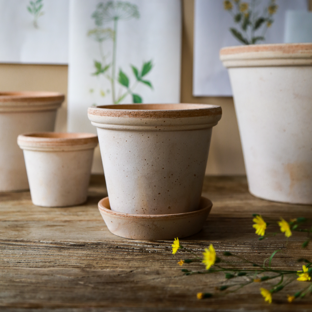 Køb Urtepotte Flora Raw Rosa | fra 89,95 | Fri fragt over 149 kr. | Hurtig levering | Dag til dag levering | Potte, Skjuler, Urtepot, Blomsterskjuler, Potteskjuler, Blomsterpotte, Bergs Potter, BERGS signature