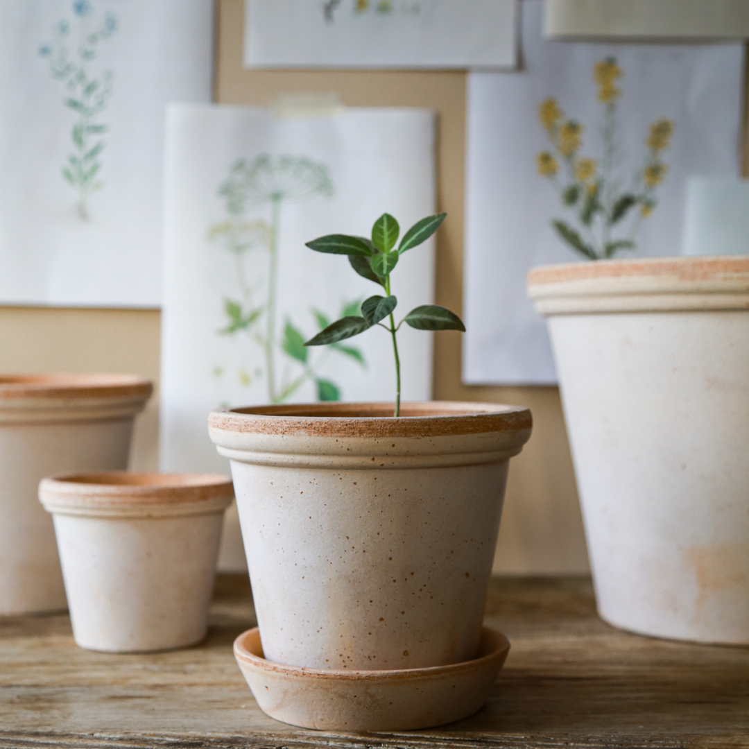 Køb Urtepotte Flora Raw Rosa | fra 89,95 | Fri fragt over 149 kr. | Hurtig levering | Dag til dag levering | Potte, Skjuler, Urtepot, Blomsterskjuler, Potteskjuler, Blomsterpotte, Bergs Potter, BERGS signature