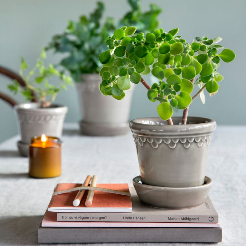 Urtepotte Københavner Pearl Grey