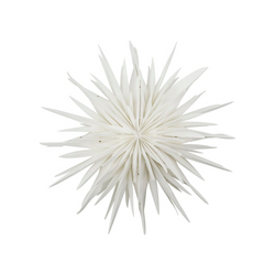 Køb Stjerne Dust Råhvid | fra 239,95 | Fri fragt over 149 kr. | Hurtig levering | Dag til dag levering | House Doctor, Society of Lifestyle | Adventsstjerne, Stjerne, Julestjerne, Topstjerne, Jul, Julepynt