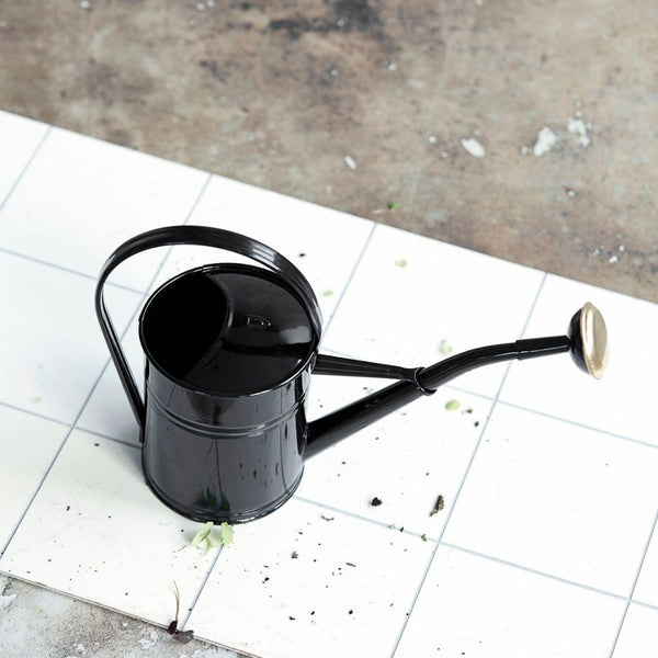 Køb Vandkande Sort 2 liter | 329,95 | Fri fragt over 149 kr. | Hurtig levering | Dag til dag levering | Kande, Blomsterkande, Gartnerkande, Blomstervandkande, Blomster vandkande, Indendørs, Udendørs, Indendørs vandkande, Drivhusplanter, Blomsterkrukker
