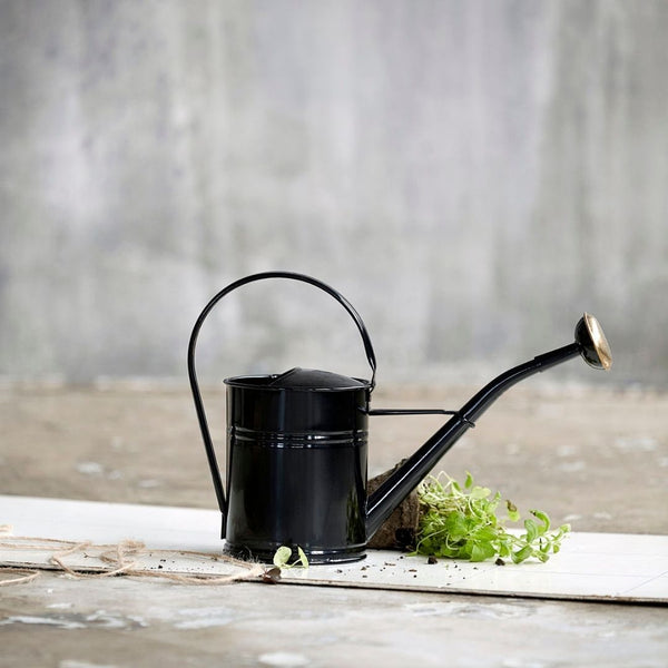 Køb Vandkande Sort 2 liter | 329,95 | Fri fragt over 149 kr. | Hurtig levering | Dag til dag levering | Kande, Blomsterkande, Gartnerkande, Blomstervandkande, Blomster vandkande, Indendørs, Udendørs, Indendørs vandkande, Drivhusplanter, Blomsterkrukker